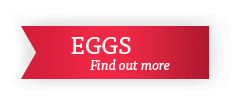 Wybite jaja